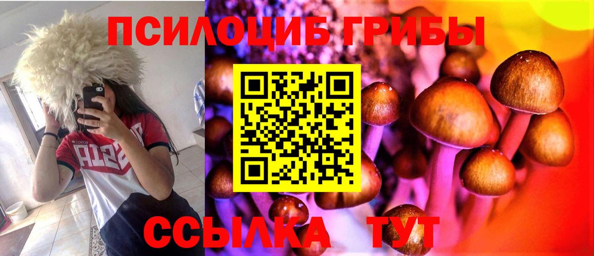 Псилоцибиновые грибы MAGIC MUSHROOMS  Псилоцибиновые грибы Cubensis  Вход с VPN  Великий Устюг 