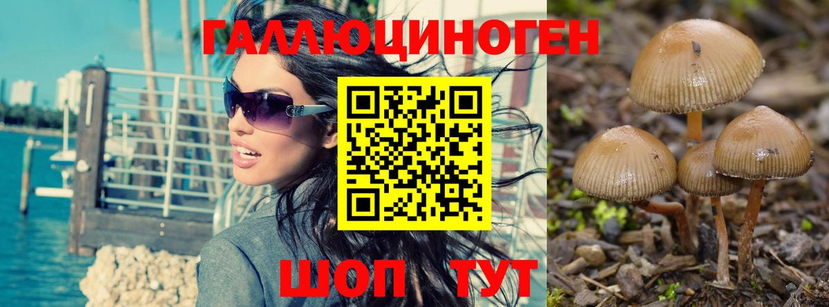 Псилоцибиновые грибы GOLDEN TEACHER Великий Устюг